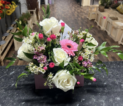 Envelope arrangement - Fresh mixed colours arranged in envelope box
(You can choose any colours in this )