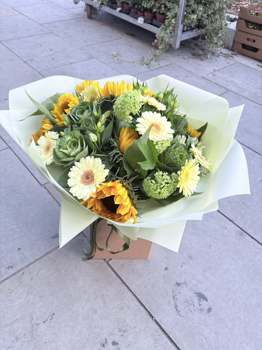 Sunflower bush